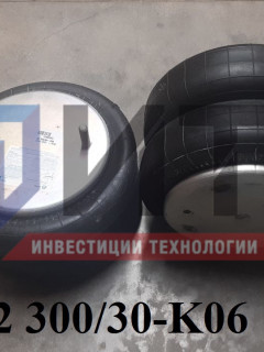 Пневморессора кольцевая (ПАЗ Вектор NEXT 8.8) A2 300/30-K06