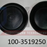 Диафрагма вакуума ПАЗ, ГАЗ-3309 ЕВРО-2 (тип 24) БРТ 100-3519250 