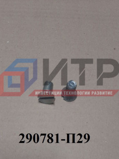 Винт крепления тормозного барабана (М10*20) 290781-П29