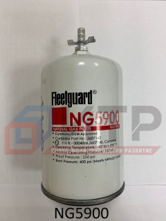 Фильтр газовый NG5900