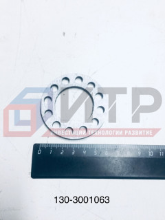 Кольцо замочное гайки цапфы поворотного кулака (130) 3205-3001063