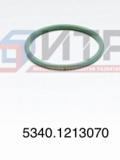 Кольцо уплотнительное трубки рециркуляции 5340.1213070