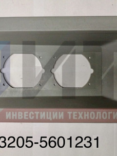 Панель заднего фонаря левая 3205-5601231